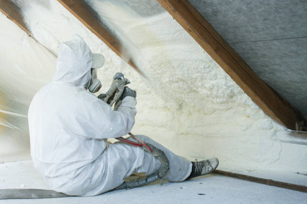 Best Insulation for Existing Homes  in Joppatowne, MD