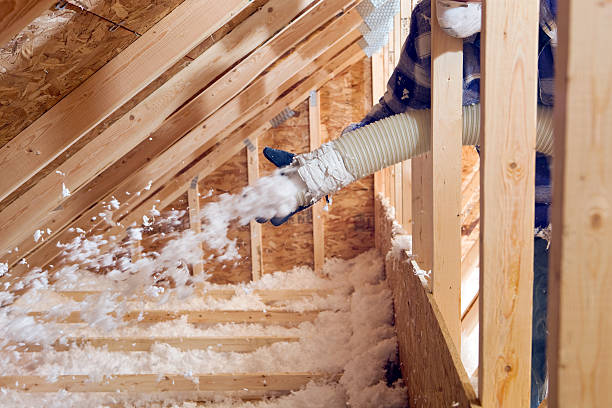 Types of Insulation We Offer in Joppatowne, MD